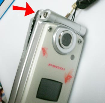 �E�`�̌g��