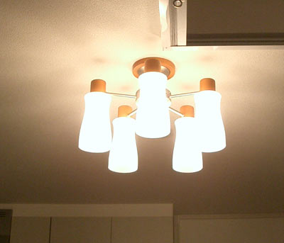 �V�����f���A�^