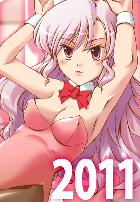 2011ǯ��